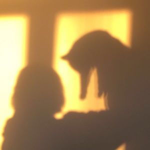 Meet your Posher, Dani